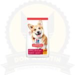 Hills Perro Adulto Small Bite 2.27 Kg