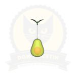 Juguete Palta Con Catnip Qq0013