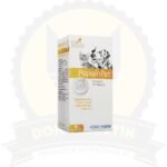 Papainpet 30 Comp